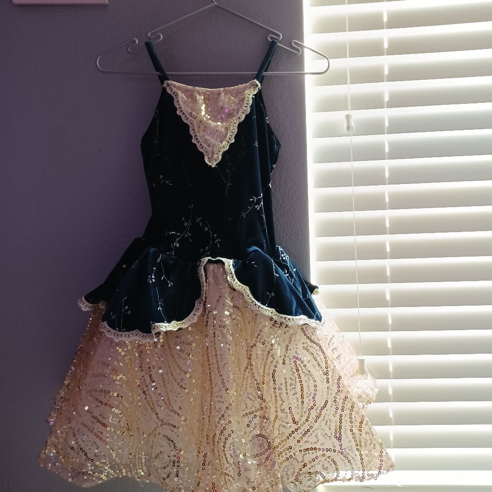 Velvet blue and creme ballet costume XLC